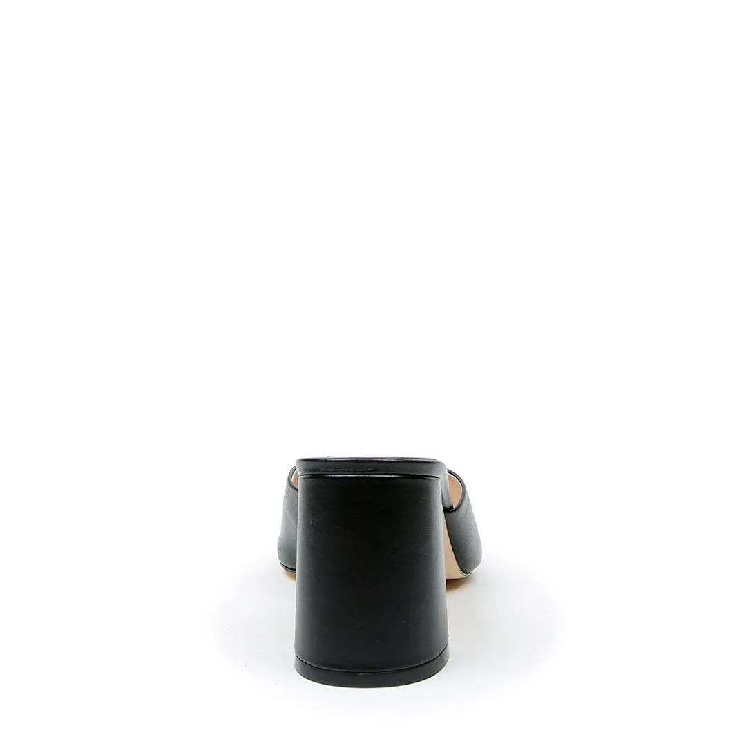 Black V Mule