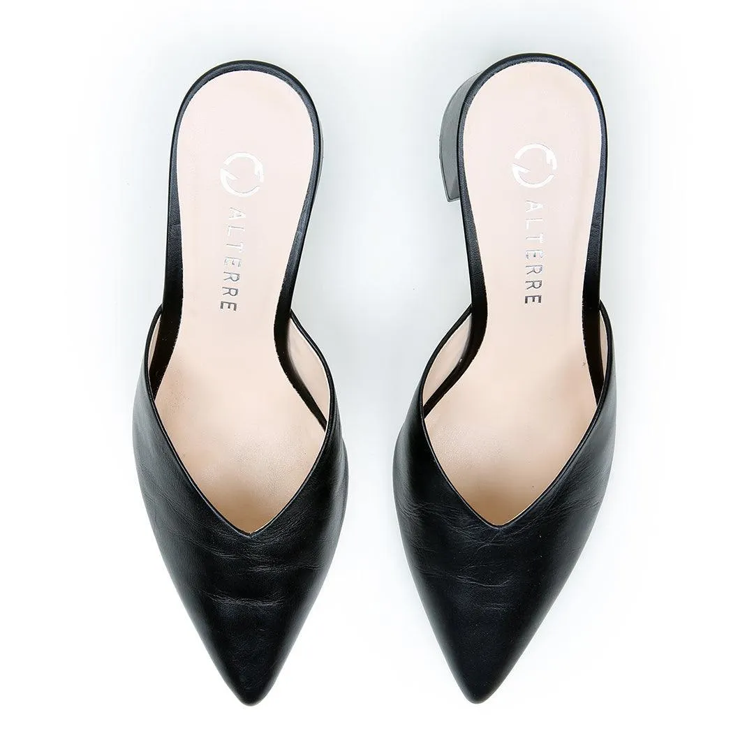 Black V Mule