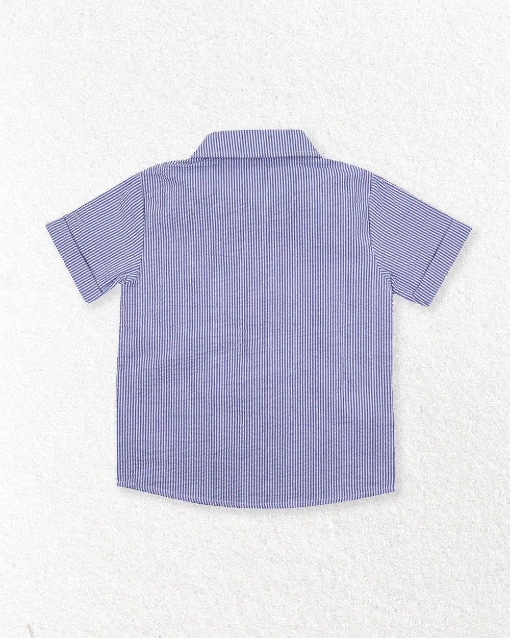 Blue Stripe Print Shirt