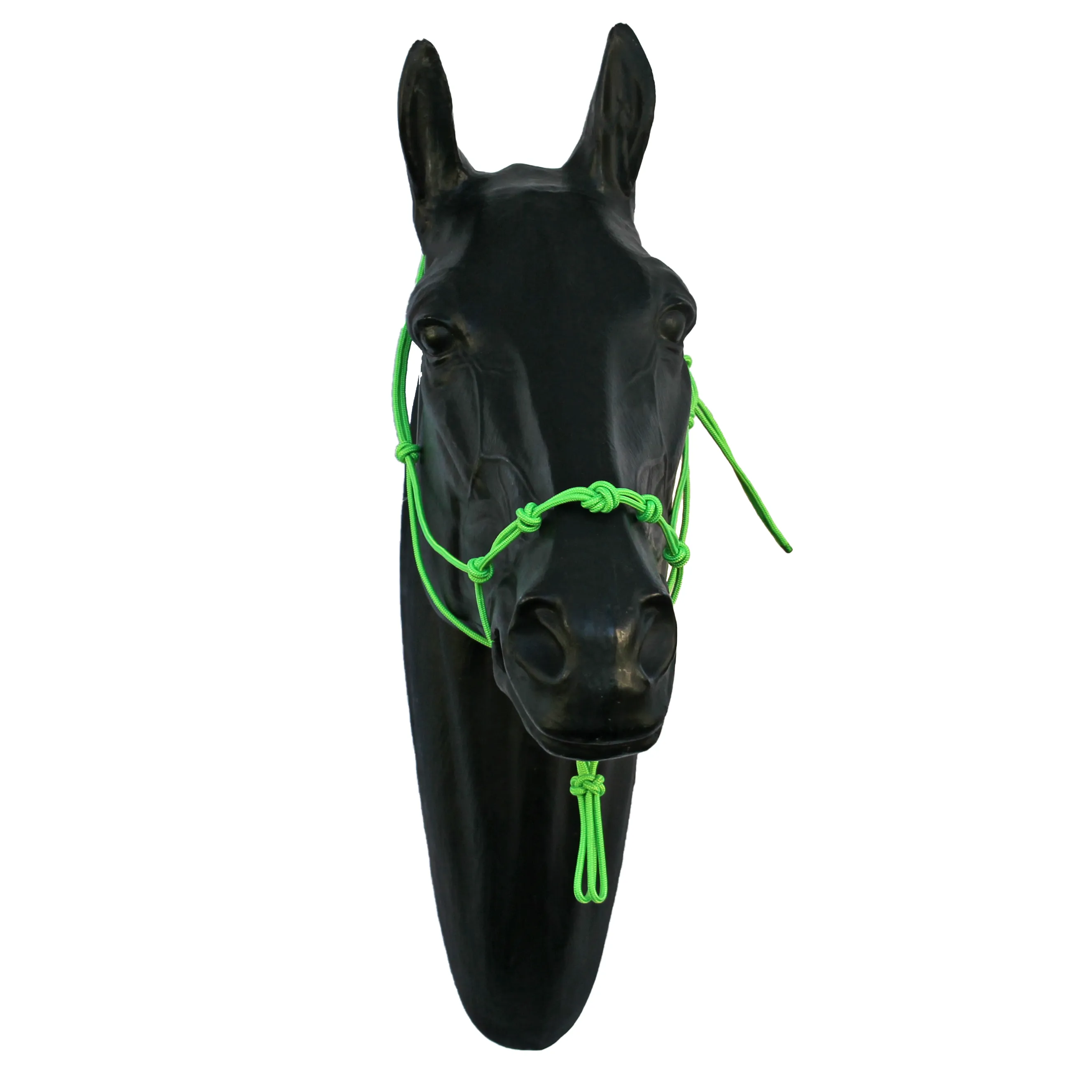 Halter - 5 Nose Knots