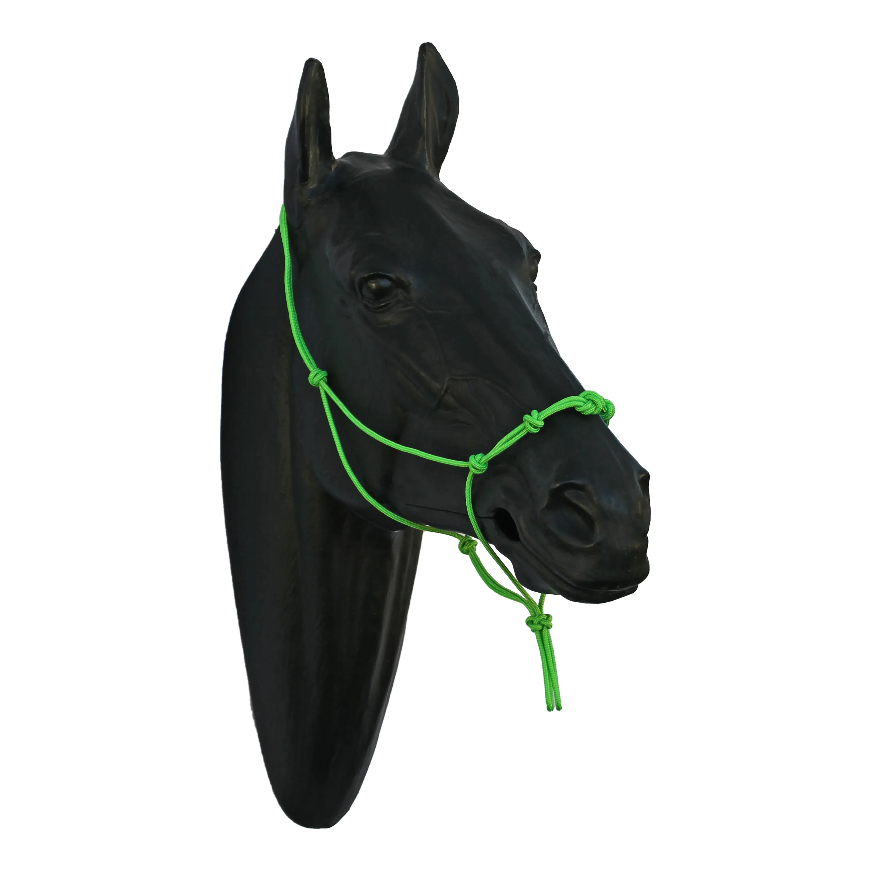 Halter - 5 Nose Knots