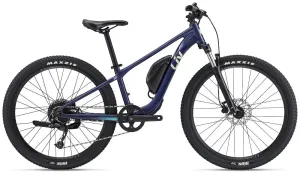 Liv 2023 Tempt E  Junior 26