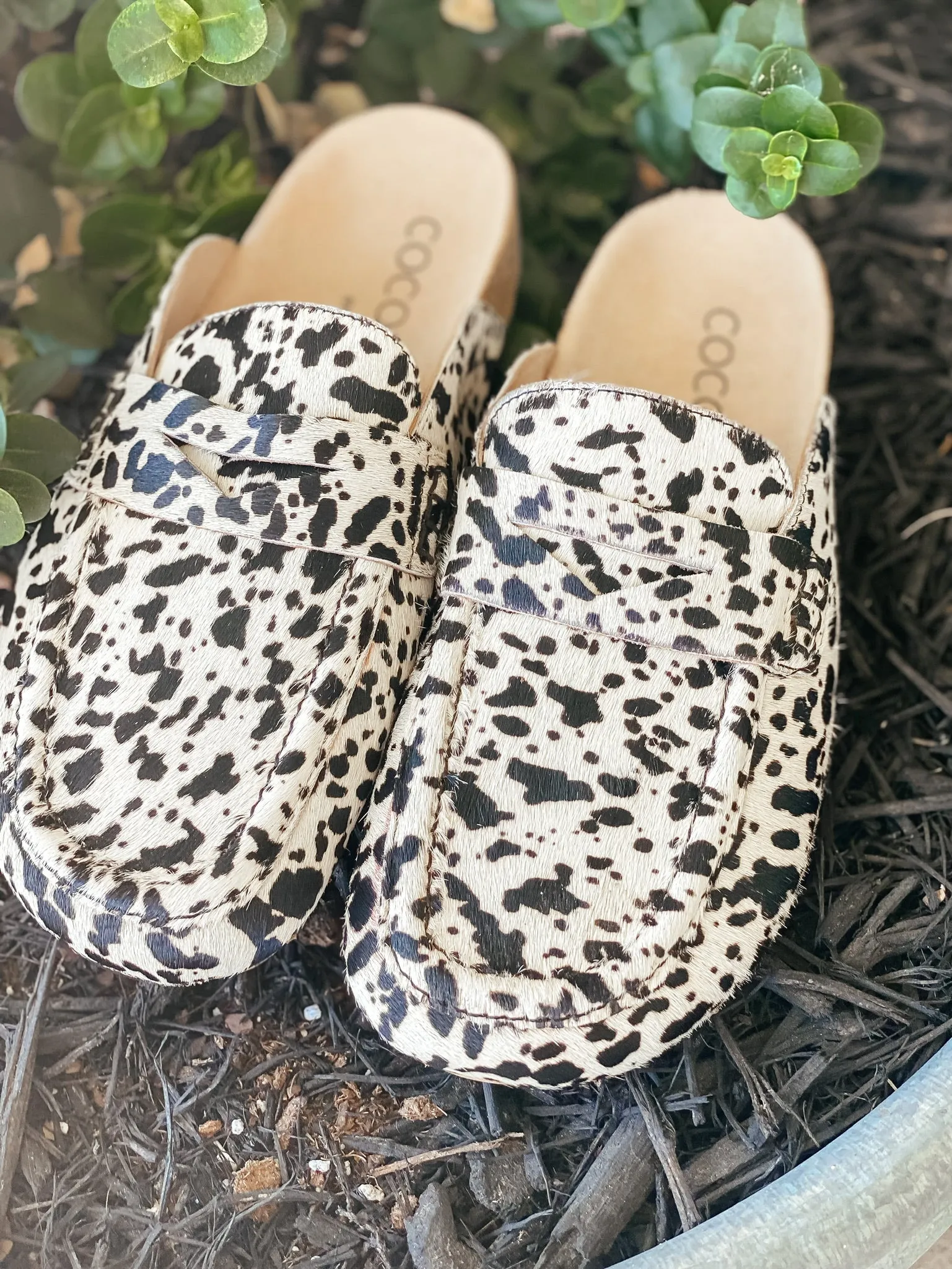 Rush Black Spots Mule