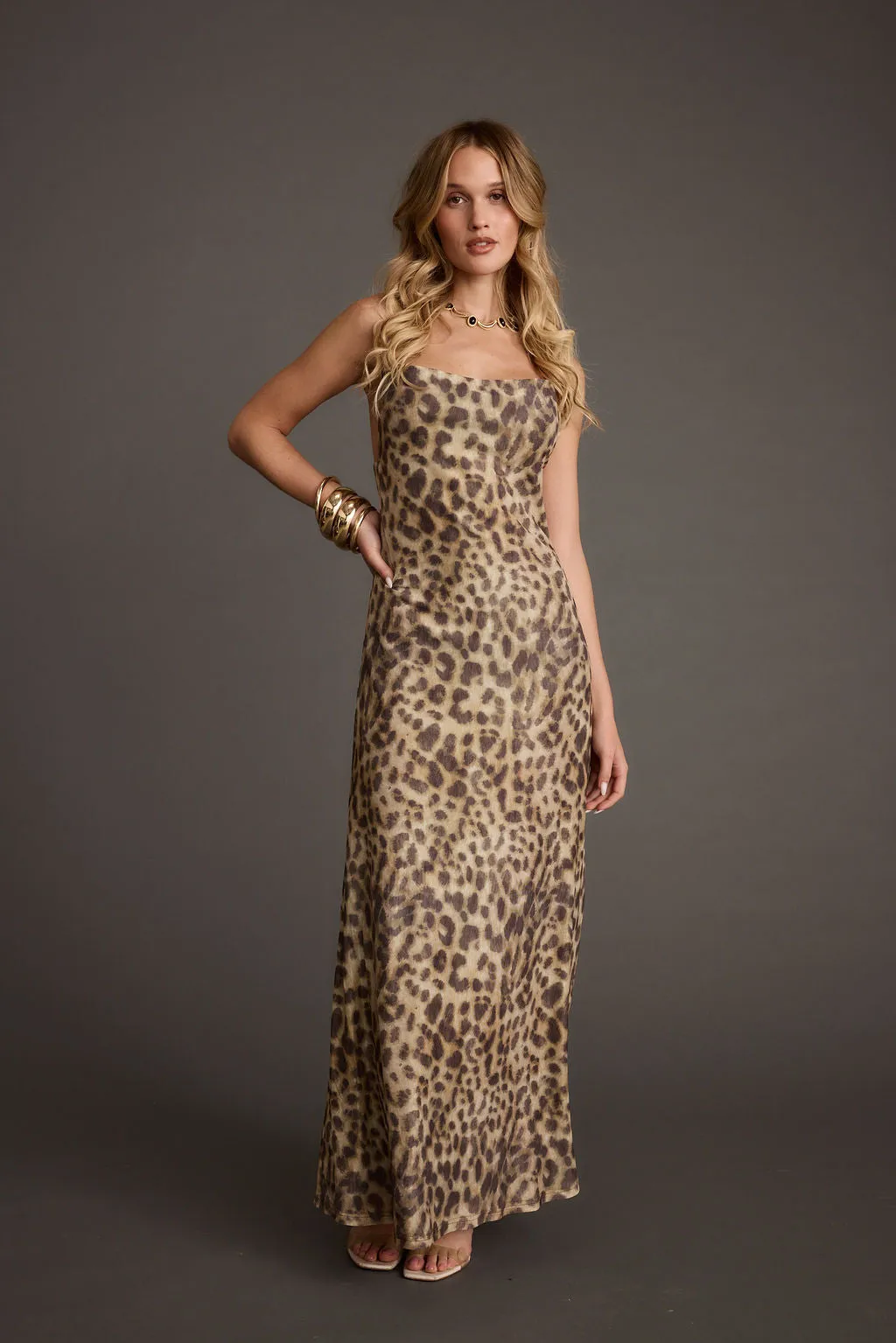 Wild Thing Leopard Print Mesh Maxi Dress
