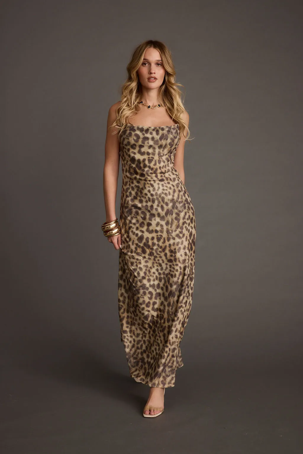 Wild Thing Leopard Print Mesh Maxi Dress