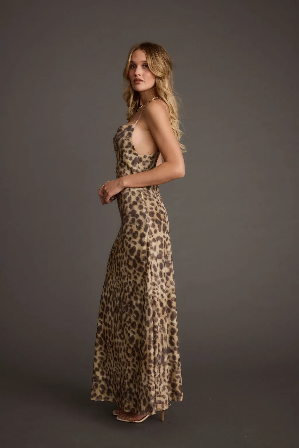 Wild Thing Leopard Print Mesh Maxi Dress